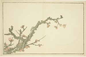 Kwitnąca śliwka, z Księgi obrazkowej realistycznych obrazów Hokusai (Hokusai shashin gafu) autorstwa Katsushika Hokusai