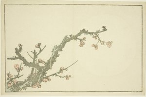 Kwitnące drzewo śliwy, z książki z realistycznymi obrazami Hokusaia (Hokusai shashin gafu), ok. 1814 (kolorowy drzeworyt (arkusz albumu)) autorstwa Katsushika Hokusai