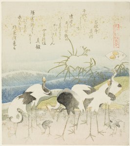 Żurawie nad brzegiem, ilustracja do The Leg Shell (Ashigai), z serii „Gra w dopasowywanie z muszlami poematu z okresu Genroku (Genroku kasen kai awase)” autorstwa Katsushika Hokusai