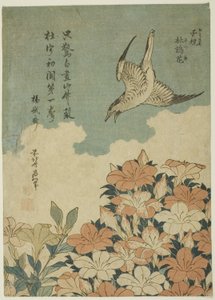 Propozycja Ward c proszek d Letterware (Hottogisu, Satsuki) autorstwa Katsushika Hokusai