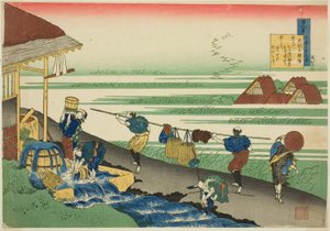Major tsune nobu z serii autorstwa Katsushika Hokusai