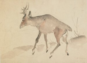 Jeleń, koniec XVIII-początek XIX wieku. autorstwa Katsushika Hokusai