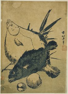 Płastugi, skorpeny i muszle z serii grafik chuban bez tytułu autorstwa Katsushika Hokusai