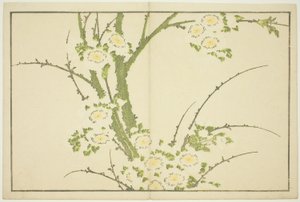 Kwiaty, z Księgi obrazkowej realistycznych obrazów Hokusai (Hokusai shashin gafu) autorstwa Katsushika Hokusai