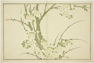 Kwiaty, z Obrazkowej księgi realistycznych obrazów Hokusaia (Hokusai shashin gafu), ok. 1814 (kolorowy drzeworyt (arkusz albumu)) autorstwa Katsushika Hokusai
