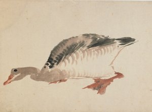 Gęś, koniec XVIII – początek XIX wieku. autorstwa Katsushika Hokusai