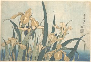 Konik polny i irys autorstwa Katsushika Hokusai