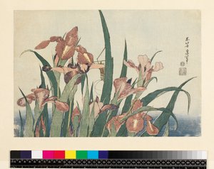 Irysy i konik polny, wyd. Nishimura Eijudo, ok. 1832, (yoko-e - format poziomy, kolorowy drzeworyt) autorstwa Katsushika Hokusai