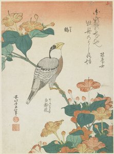 Japoński grubodziób i czwarta godzina, ok. 1930 r. 1833 autorstwa Katsushika Hokusai