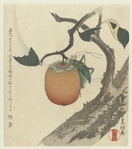 Owoc kaki z konikiem polnym autorstwa Katsushika Hokusai