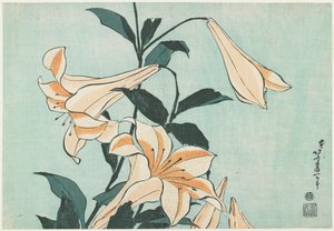 Lilie autorstwa Katsushika Hokusai