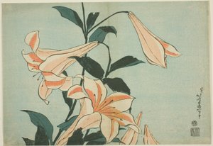 Lilie, z bez tytułu serii Duże kwiaty autorstwa Katsushika Hokusai