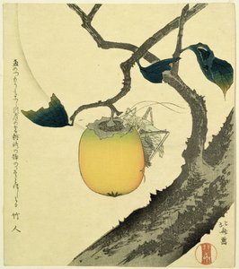 Księżyc, persymona i konik polny, 1807 (drzeworyt kolorowy) autorstwa Katsushika Hokusai