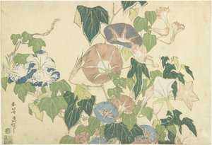 Jutrzenka i żaba drzewna, z cyklu bez tytułu, znanego jako Wielkie kwiaty, ok. 1833-34 (drzeworyt kolorowy) autorstwa Katsushika Hokusai