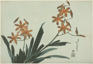 Pomarańczowe Orchidee, z serii kwiatów bez tytułu autorstwa Katsushika Hokusai