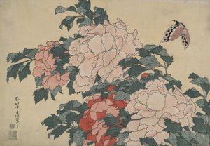 „Piwonie i motyl” z serii bez tytułu zatytułowanej „Duże kwiaty” autorstwa Katsushika Hokusai