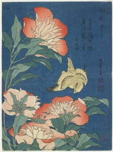 Piwonie i kanarek, ok. 1833 r. autorstwa Katsushika Hokusai