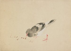 Gołąb, koniec XVIII-początek XIX wieku. autorstwa Katsushika Hokusai