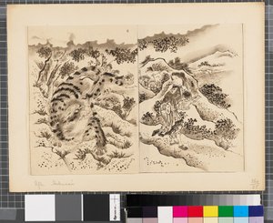 Sceny z wojny między Japonią a Koreą, koniec XVIII - pierwsza połowa XIX wieku (tusz i płótno na papierze) autorstwa Katsushika Hokusai
