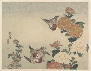 Wróble i chryzantemy autorstwa Katsushika Hokusai