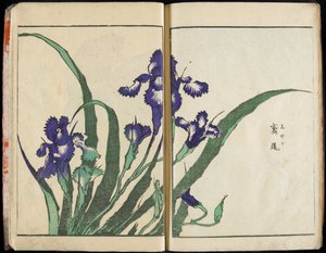 Przekazywanie ducha i ukazywanie kształtu rzeczy: „Ogród obrazów” Hokusai, tom 1 – kompletny autorstwa Katsushika Hokusai