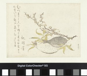 Dwie Płastugi i Śliwka autorstwa Katsushika Hokusai