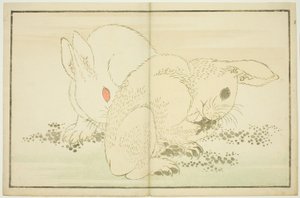Dwa króliki, z Księgi obrazkowej realistycznych obrazów Hokusaia (Hokusai shashin gafu) autorstwa Katsushika Hokusai