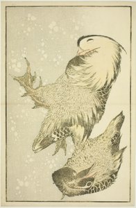 Dwa ptactwo wodne, z Księgi obrazkowej realistycznych obrazów Hokusaia (Hokusai shashin gafu) autorstwa Katsushika Hokusai