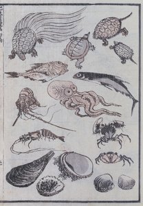 Stworzenia podwodne z mangi (kolorowy drzeworyt) autorstwa Katsushika Hokusai