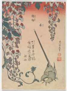 Pliszka i Wisteria, okres Edo, 1834 (kolorowy drzeworyt) autorstwa Katsushika Hokusai