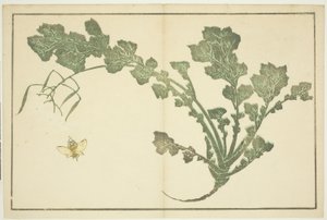 Łodyga osy i rzepy, z „Księgi obrazkowej realistycznych obrazów Hokusaia (Hokusai shashin gafu)” autorstwa Katsushika Hokusai