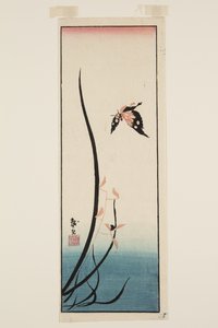 Motyl i trawa (kolorowy drzeworyt) autorstwa Katsushika II (fl.1820-50) Taito