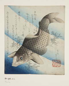 Karp w wodzie (kolorowy drzeworyt) autorstwa Katsushika II (fl.1820-50) Taito