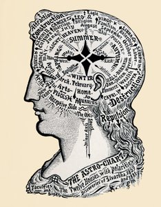 Wykres głowy i ramion człowieka. XIX wiek (grafika)