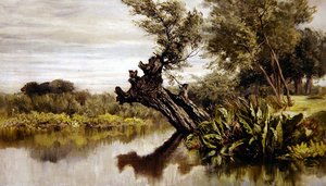 Wierzba (olej na płótnie)