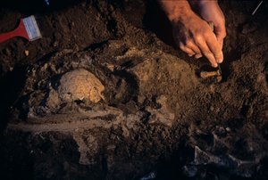 Dmanisi, Gruzja, David Lordkipanidze, Homo Erectus autorstwa Kenneth Garrett