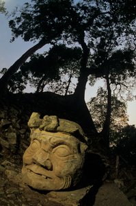 Bóg N, drzewo Ceiba, świątynia, Majowie, Copan, Honduras, okres klasyczny autorstwa Kenneth Garrett
