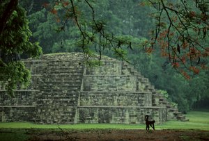 Honduras; Copan; Majowie autorstwa Kenneth Garrett