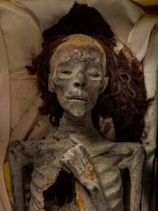 Mumia Tiye, żony Amenhotepa III i babki Tuta. 18. dynastia; Nowy król..., 2005 (zdjęcie) autorstwa Kenneth Garrett