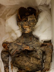 mm7864; XVIII dynastia; Nowe Królestwo; Egipt; Muzeum Egipskie; Kair; Mumia; Dolina o..., 2009 (zdjęcie) autorstwa Kenneth Garrett