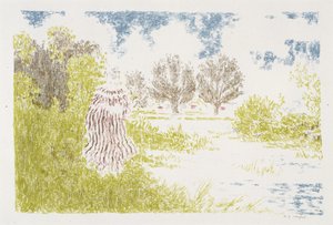 Femme en robe a rayeurs (Kobieta w pasiastej sukience), 1899-1900 (litografia w kolorach) autorstwa Ker Xavier Roussel