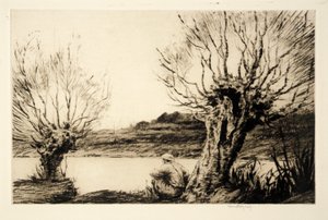 The Willows, autorstwa Kerr Eby