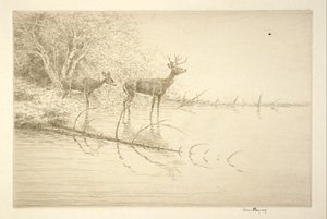  autorstwa Kerr Eby