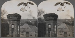 W dawnych czasach, gdyby ludzie byli dobrzy, bocian przyniósłby dziecko słodkie i uczciwe, 1907. autorstwa Keystone View Company