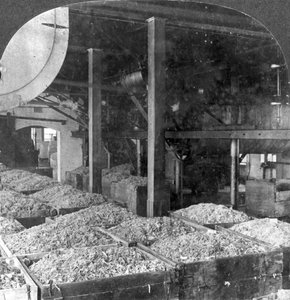 Robienie papieru ze szmat, Holyoke, Massachusetts, USA, XX wiek autorstwa Keystone View Company