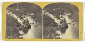 The Babling Brook, 185575. Twórcy: Kilburn Brothers, BW Kilburn.