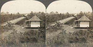 Grupa 14 stereogramów Afryki i aktorów, lata 50.-1910.