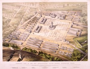 Metropolitan Cattle Market, Londyn, 1855