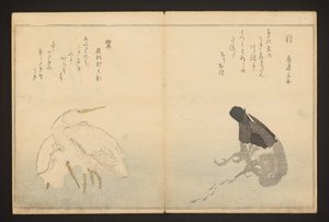 Kormoran i czapla autorstwa Kitagawa Utamaro
