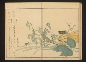 Konik polny na fasoli i modliszka na melonie autorstwa Kitagawa Utamaro